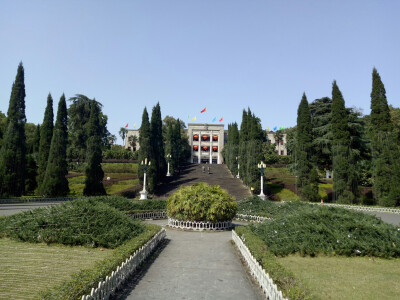 西南大学，玉兰盛开