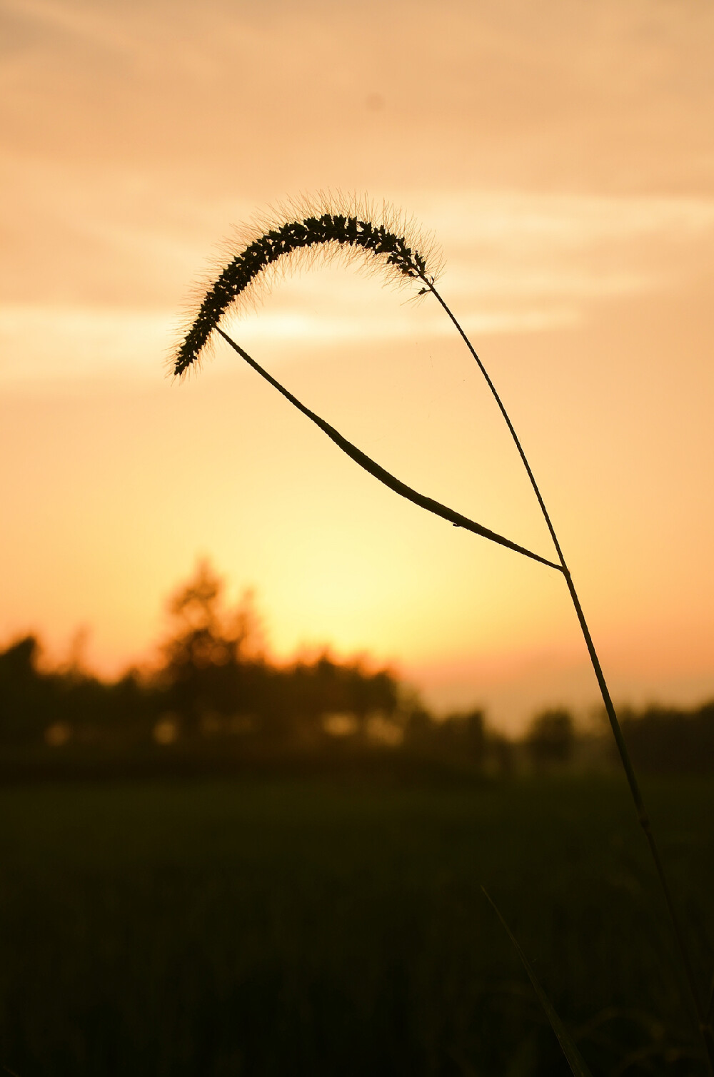 攝影 夕陽(yáng)西下