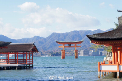 水中的鸟居⛩️