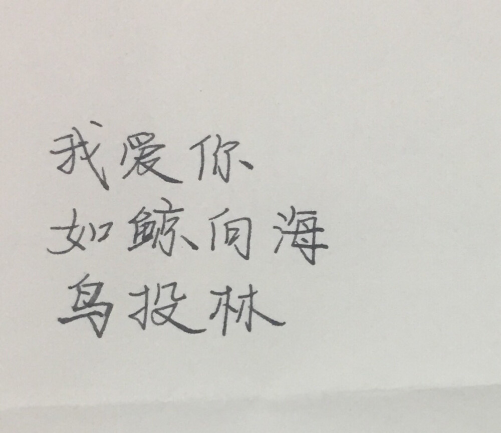 我爱你，如鲸向海，鸟投林。