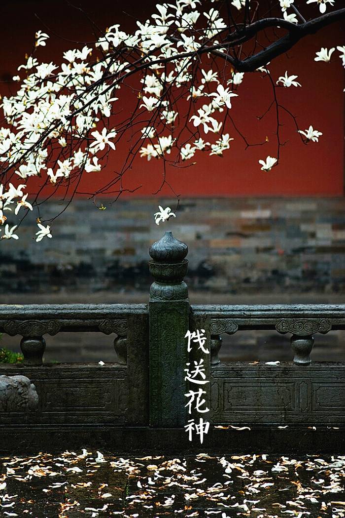 【中国节气：芒种】黄梅时雨，莲荷幽栖。伯劳始鸣，饯送花神。暑微顾影，斜阳斑驳。庭下井凉，青梅煮酒，微醺香梦。《月令七十二侯集解》中说：五月节，谓有芒之种谷可稼种矣。