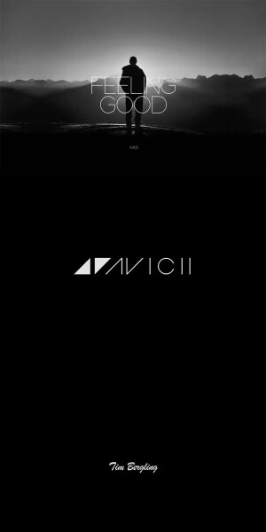 Forever Avicii Forever WITHOUT YOU ......Thanks,Tim