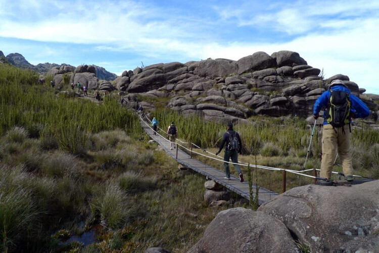 伊塔蒂亚亚国家公园（Itatiaia National Park）远足