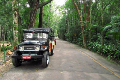 蒂茹卡雨林吉普车之旅（Tijuca Rain Forest）