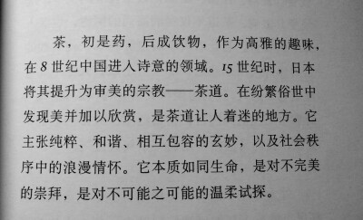 对不完美的崇拜
对不可能之可能的温柔试探