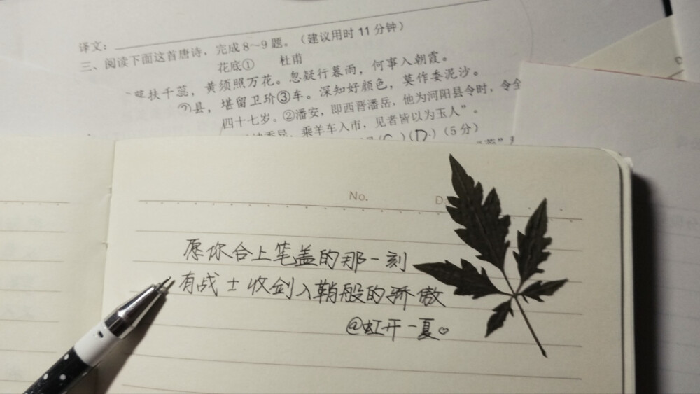 祝高考顺利 加油!
背景是我的语文卷子（应景
手写@虹开一夏