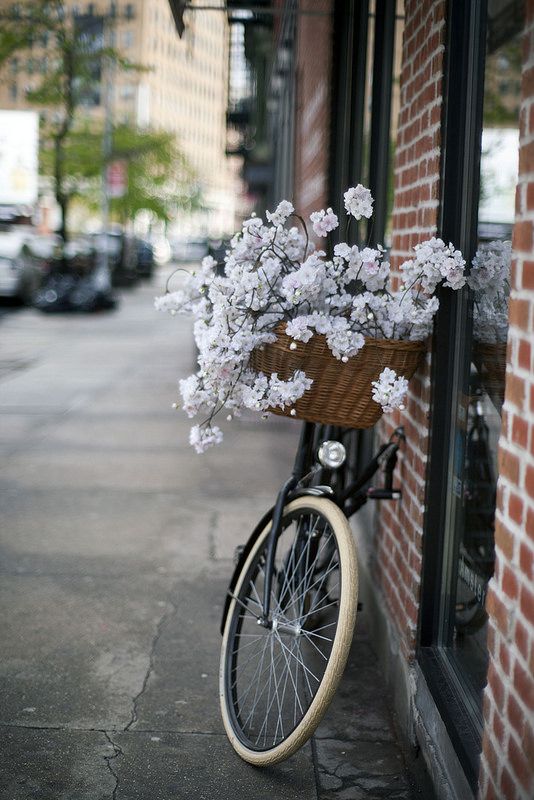 #鲜花# #装饰# #摄影#