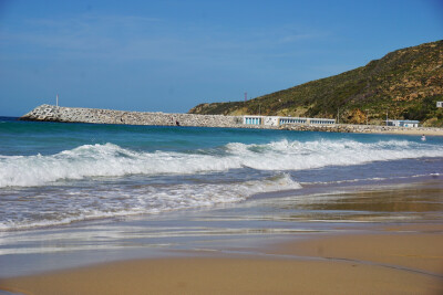 第十一天我爱这片海