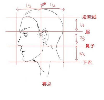 手绘教程，头部比例