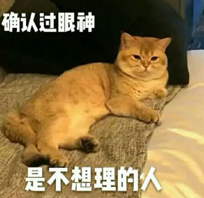 喵控