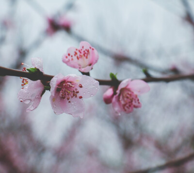 似是突如其来的一场雨，劈头盖脸，猝不及防
