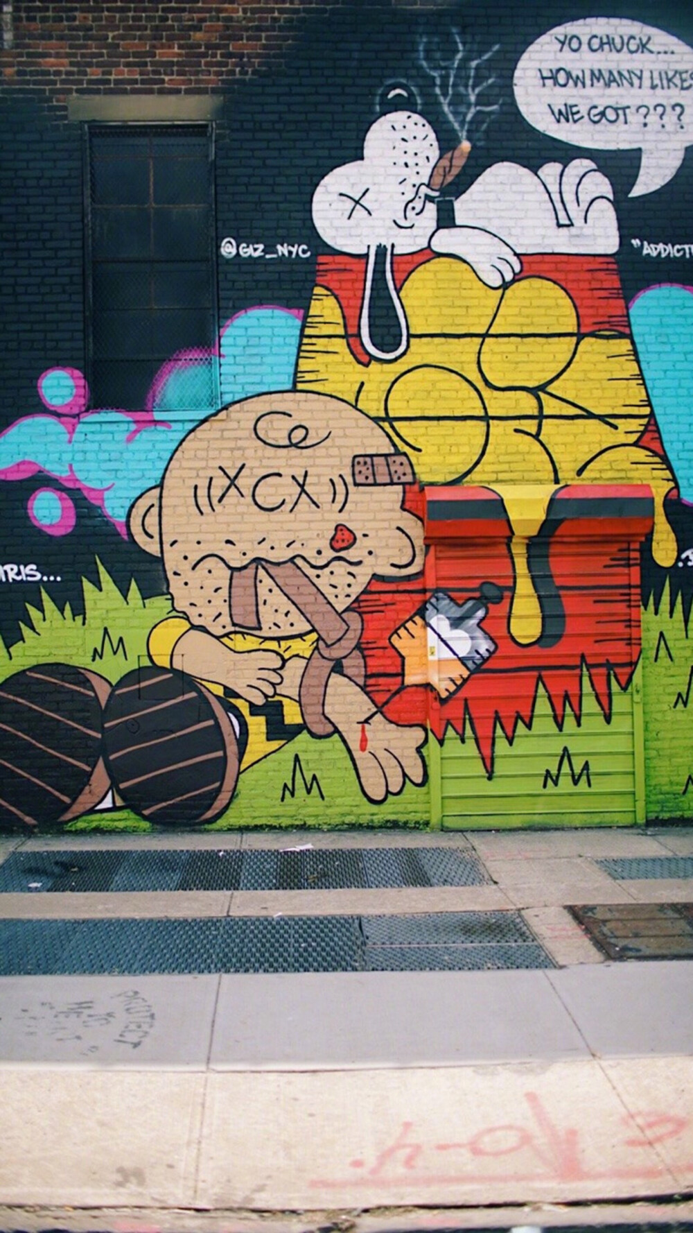 Pidan｜KAWS