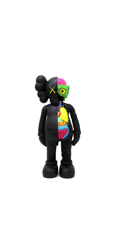 Pidan｜KAWS