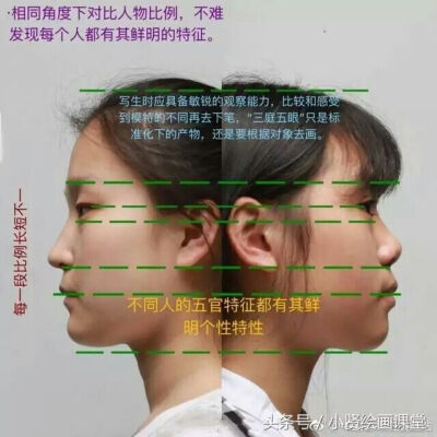 头像分析