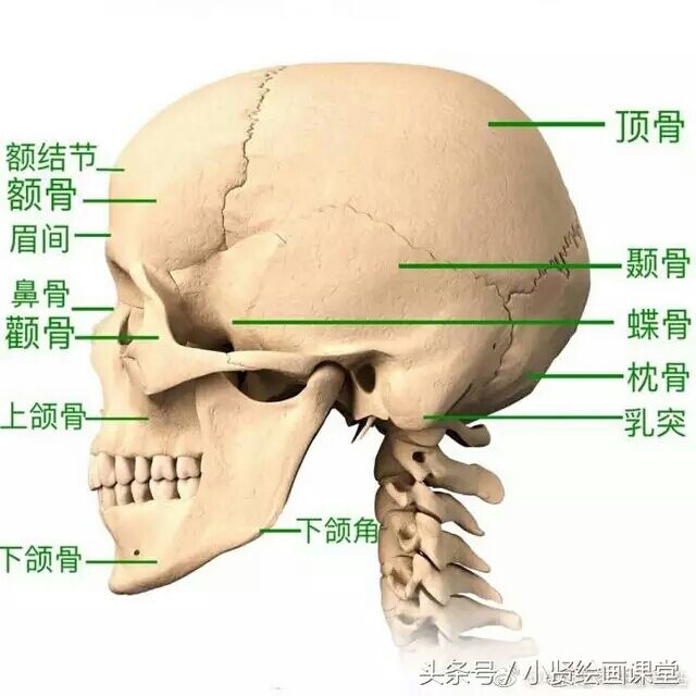 头像分析