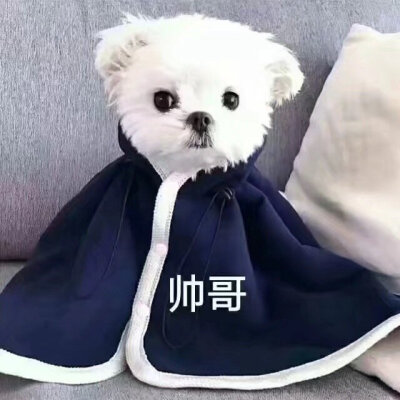 怎么会爱上他