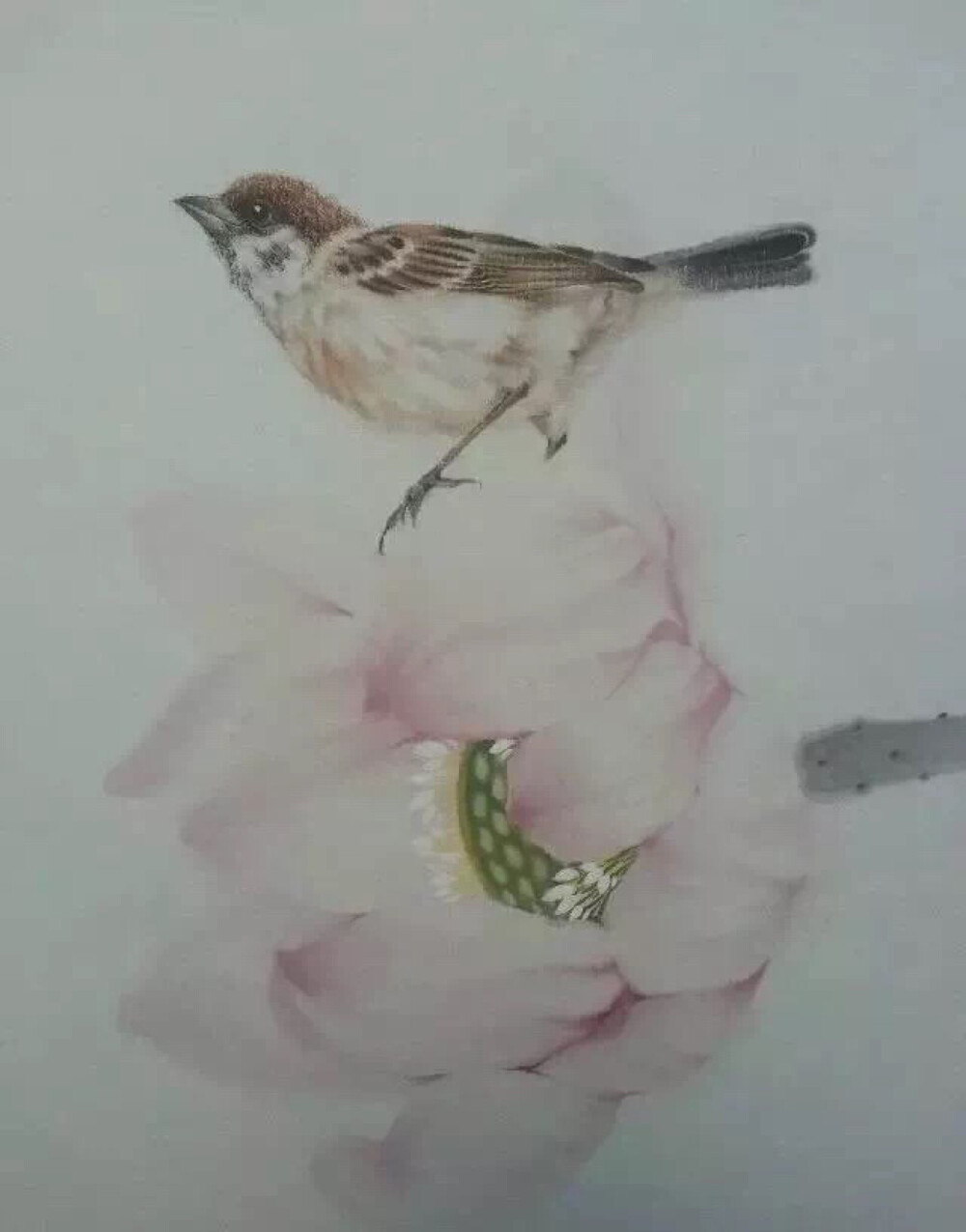 工笔花鸟画