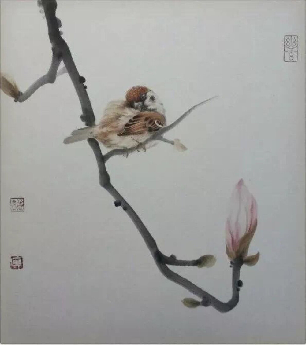 工笔花鸟画