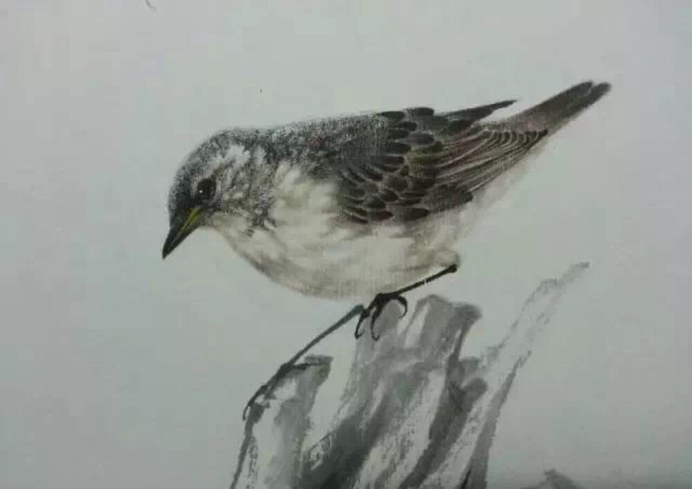 工笔花鸟画