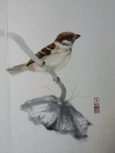 工笔花鸟画