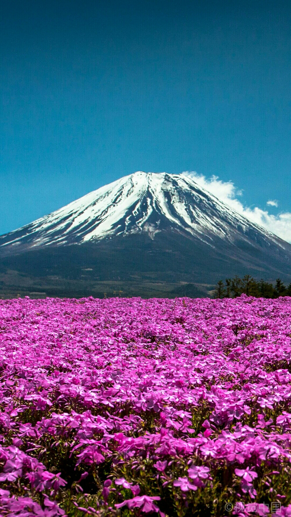 日本富士山