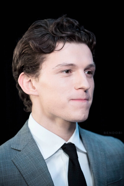 汤姆赫兰德
荷兰弟