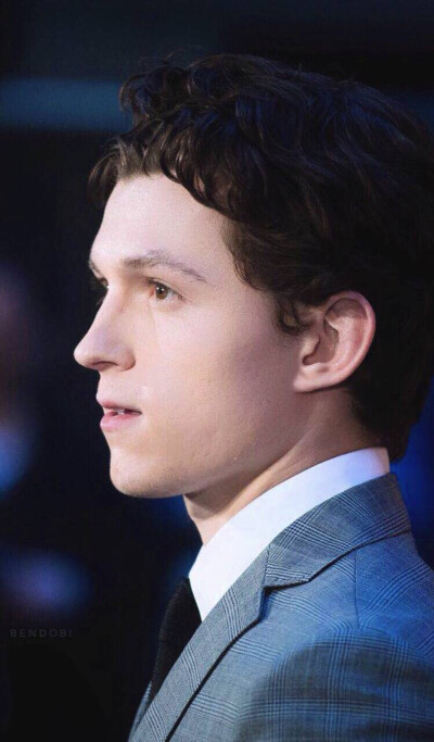 汤姆赫兰德
荷兰弟