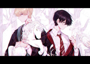 独角兽和凤凰  #Lofter@エア 德哈 Drarry