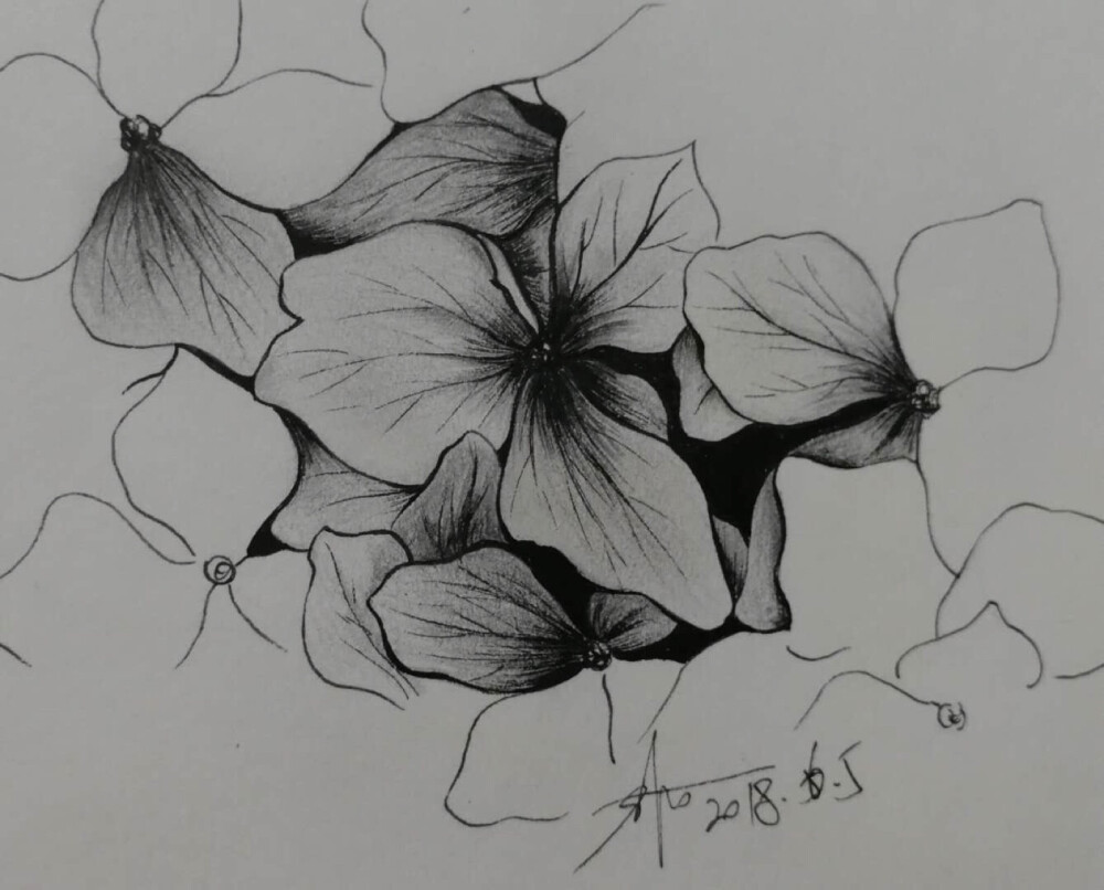 线描小画