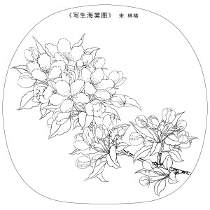 白描线稿 公众号“乐绘分享”编辑整理