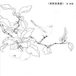 儿童画素材
白描
线描
速写