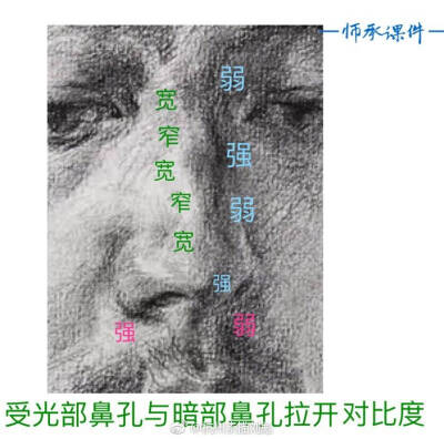 鼻子素描画法