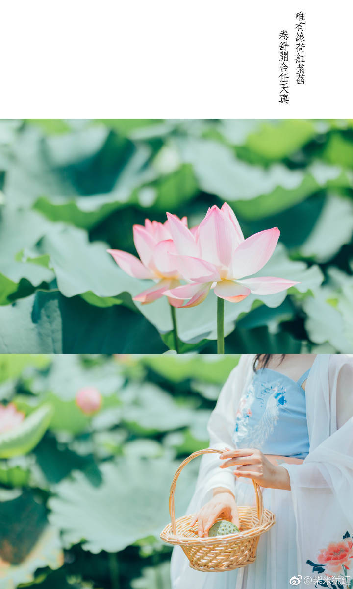 犹记青梅眼波流转时
明眸善睐间只一盏残灯
又是旧时新夏，不过桑田人间
出镜：@萱草爱摄影
摄影：@柴米犹延
#珠海约拍##成都约拍#
