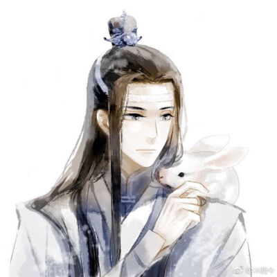 魔道祖师
蓝忘机