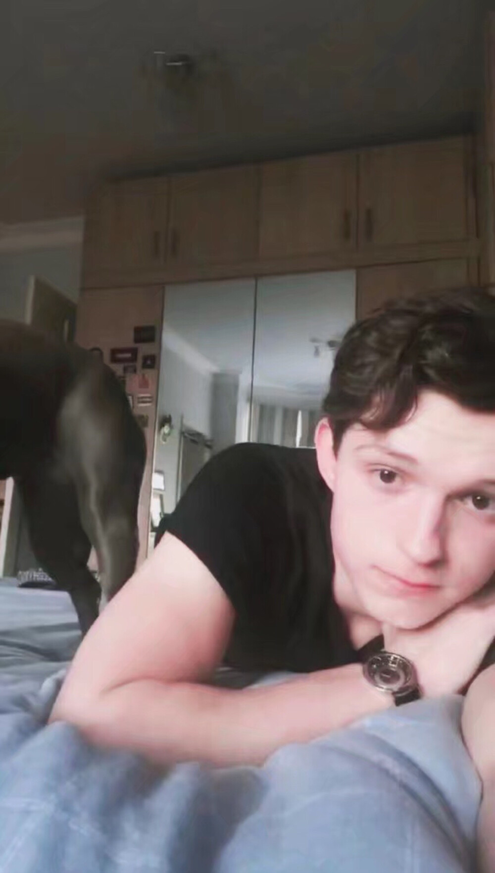 Tom Holland