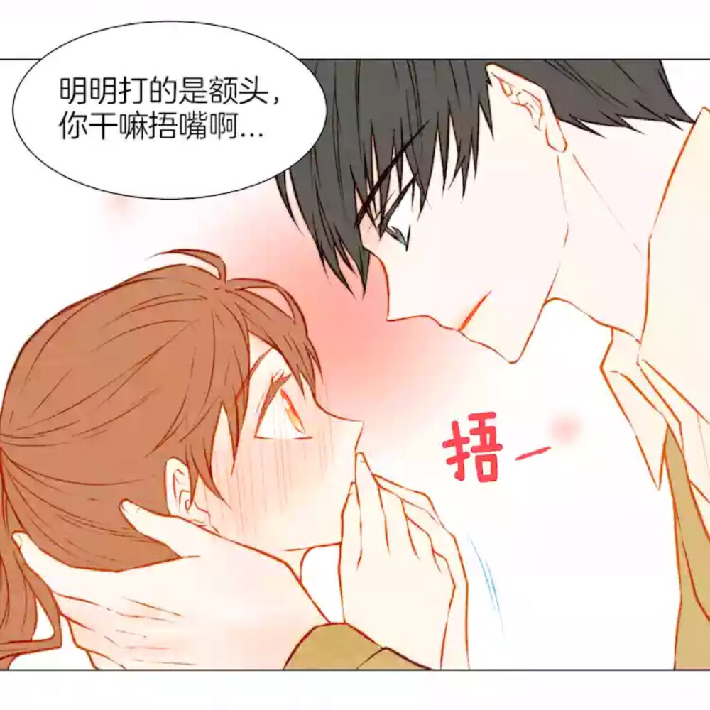 李菲雯权利