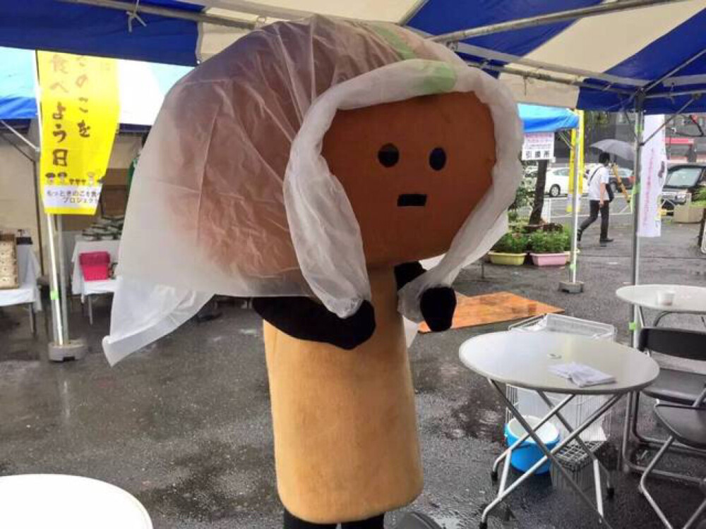 દ皮皮珍૩ ᵕ̈