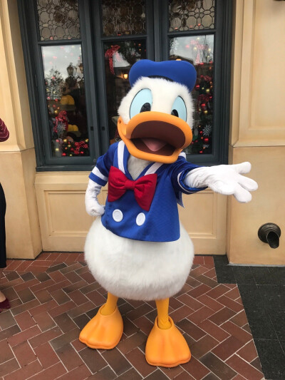 Donald duck