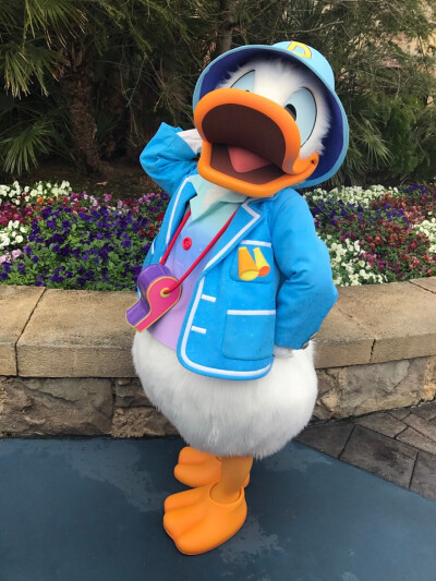 Donald duck