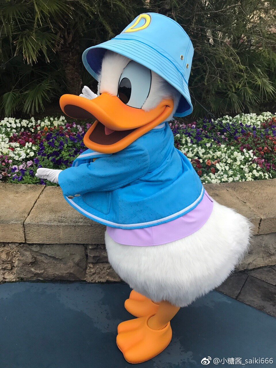 Donald duck