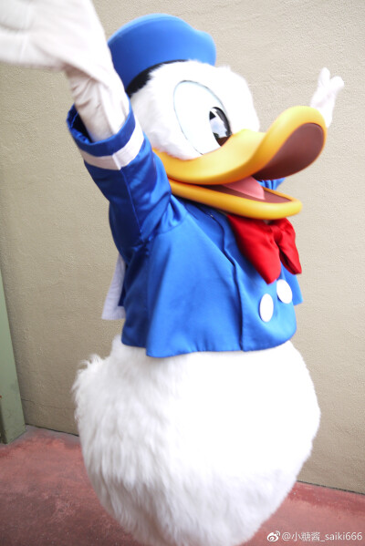 Donald duck