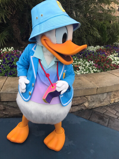 Donald duck