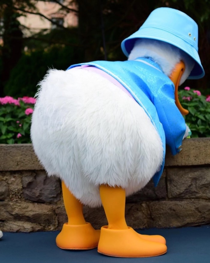 Donald duck