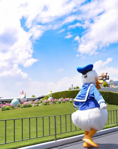 Donald duck