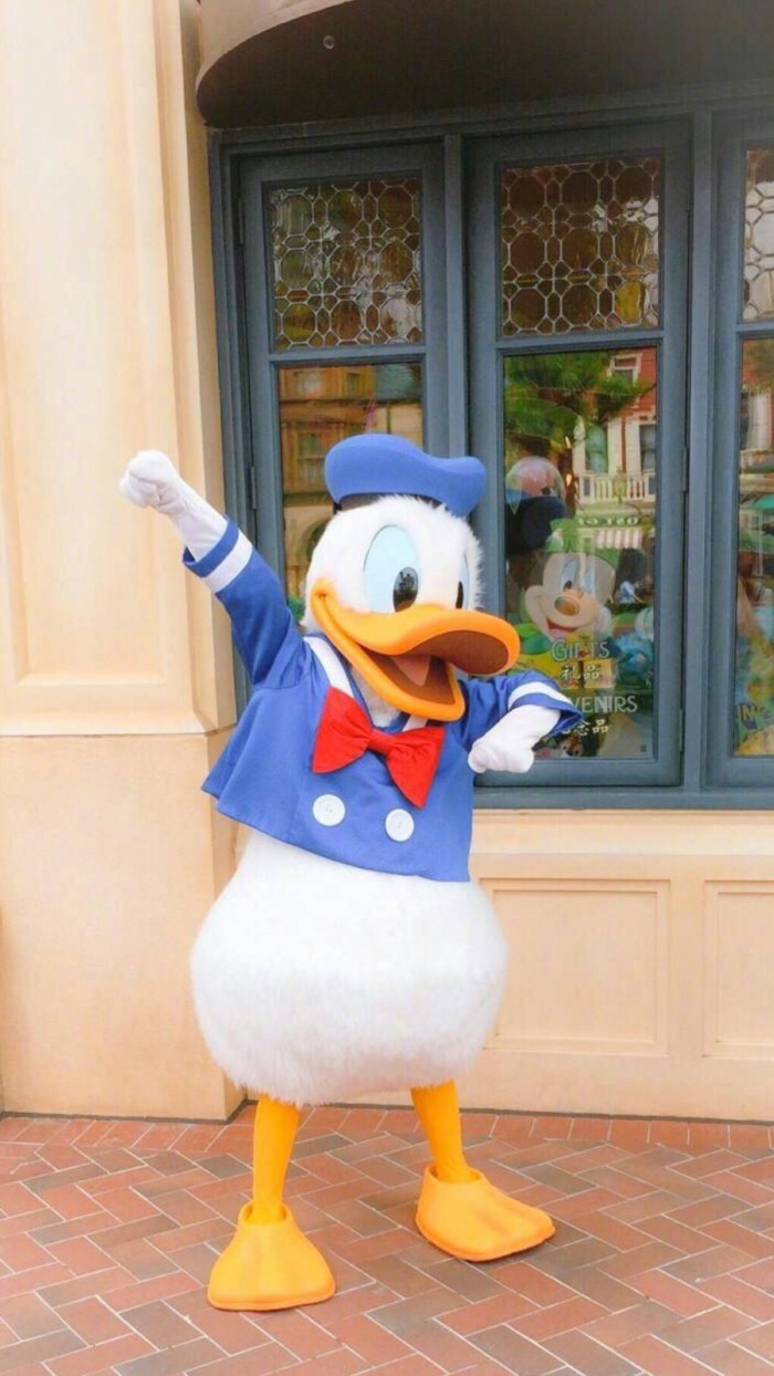 Donald duck