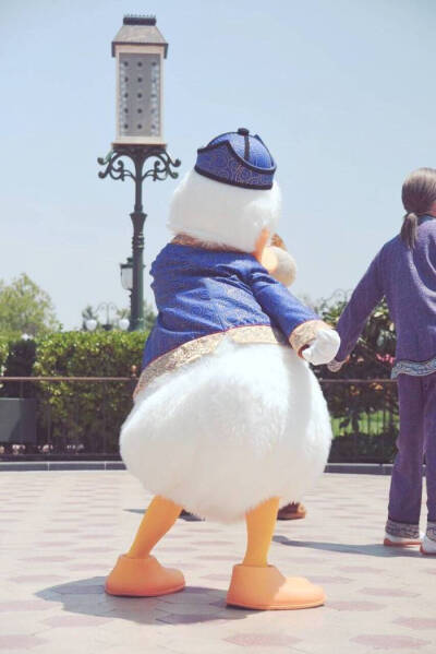 Donald duck