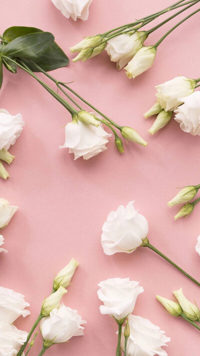 可爱 壁纸 手绘