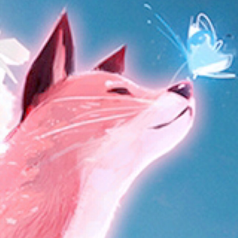 你眼里有星星.禁二转