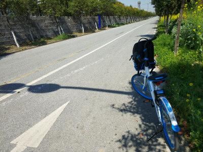 2018年4月7日上海奉贤海湾旅游区周圈骑行郊游随手拍