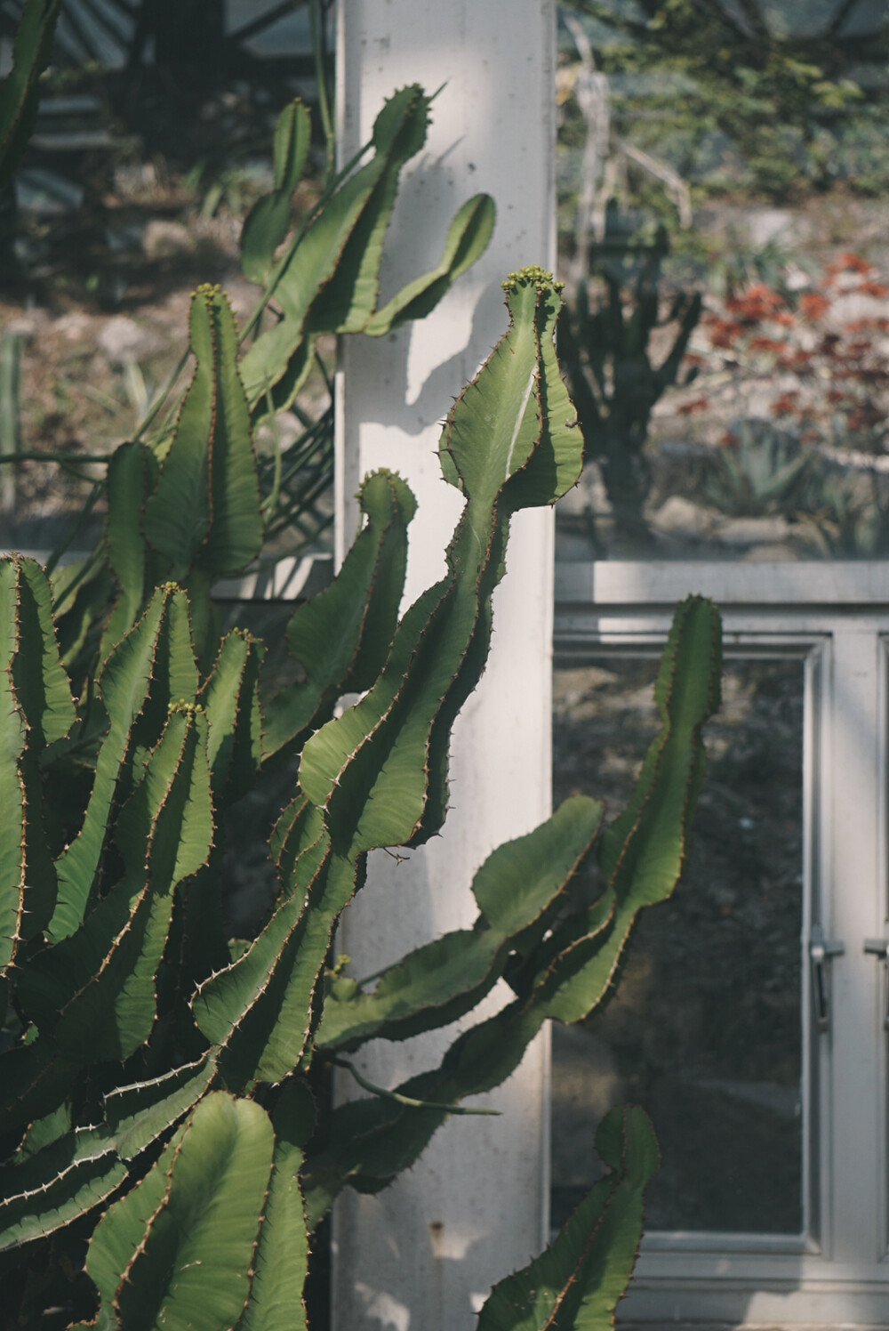 厦门植物园